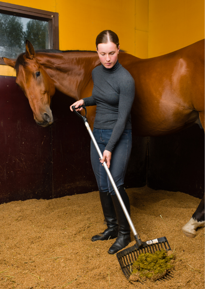 custom horse barn builders in Ohio
