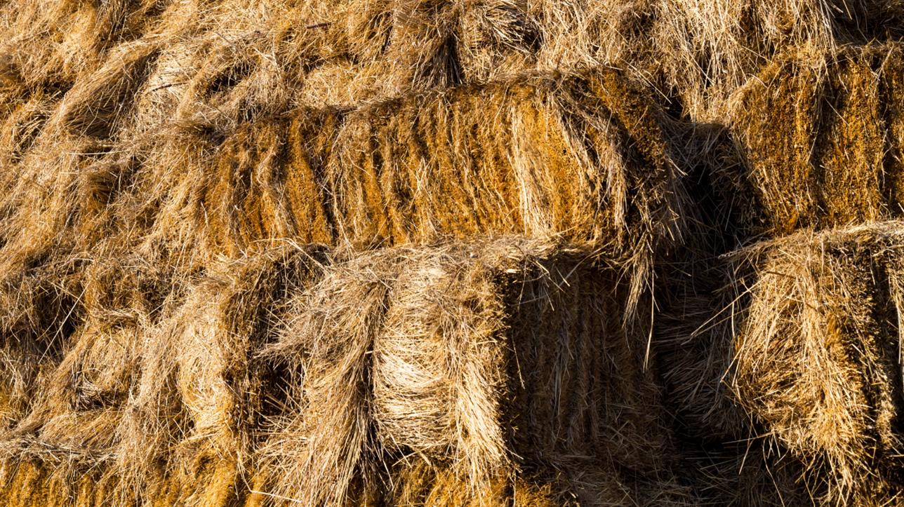 Amish Barn Builders In West Virginia